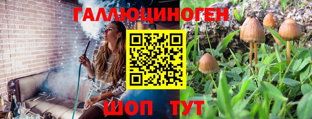 Псилоцибиновые грибы GOLDEN TEACHER Волоколамск